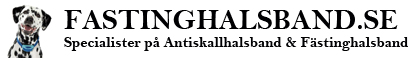 Fästinghalsband.se